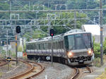 20230822h.JPG