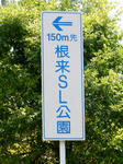 20230905a.JPG