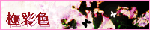 banner.gif