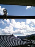 sky1