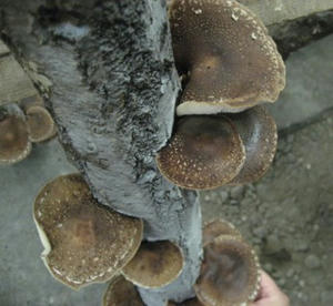 20090916B.jpg