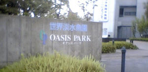 20091013C.jpg