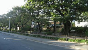 20091016G.jpg
