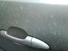 20100321A.JPG