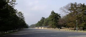 20100404A.JPG