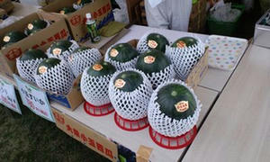 20100917B.jpg