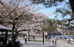 20110413C.jpg