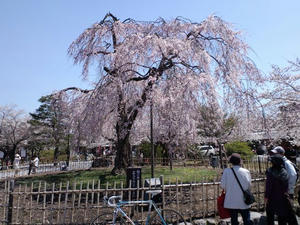 20110413E.jpg