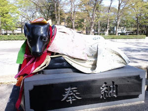 20110421B.jpg