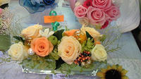 NEC_0952.jpg