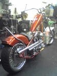 e982b684.jpg