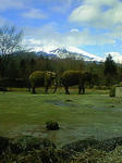 200901291315000.jpg