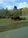 200901291338000.jpg