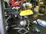 37526b37.jpg