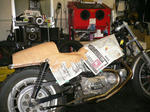 53698d0a.jpg