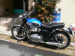 810fc06e.jpg