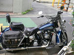 cdd014b2.jpg