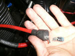 cfb28381.jpg
