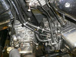 7311866d.jpg