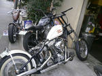 63f86bcd.jpg