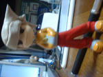 DSCF0008.JPG