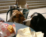 DSCF0002.JPG