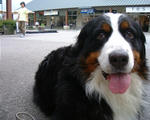 DSCF0001.JPG