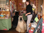 PICT0013_9.JPG