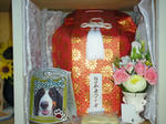 DSCN2971.JPG