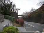 DSCN3132.jpg