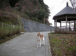 DSCN3126.jpg