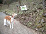 DSCN3125.jpg