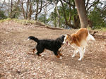 DSCN3098.jpg