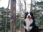 DSCF0067.jpg
