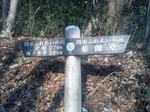 s-CA330085.jpg