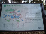 s-CA330093.jpg