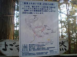 s-CA330095.jpg