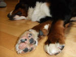 0802050038.jpg