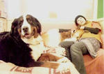 doginc002.jpg