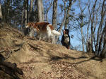 0802220035.jpg