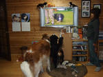 BLOG0645.jpg