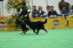 PICT0927.jpg