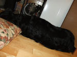 0809060002.JPG