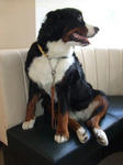 0809090009-b.JPG