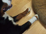 0812010010.jpg