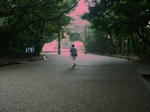 ise04.jpg