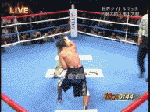 kame.gif