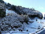 初雪(^O^)／