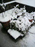 雪
