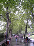 jinan_kouen4.jpg
